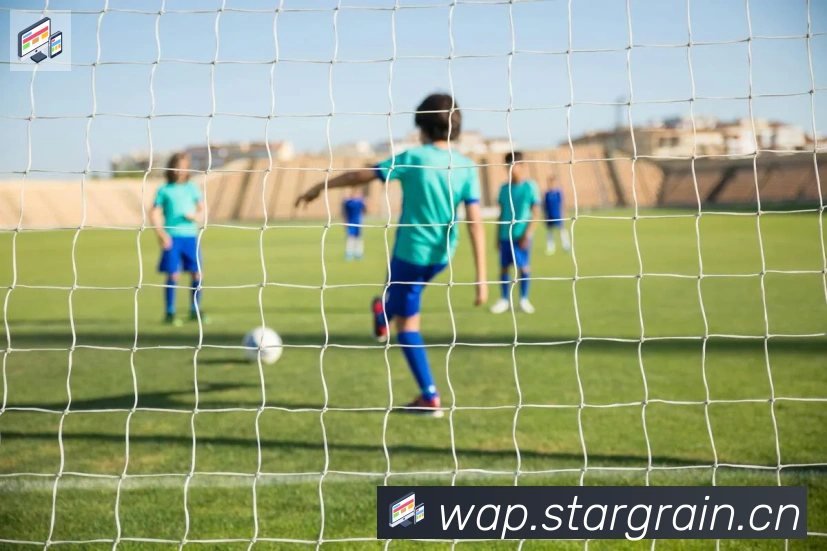 爱游戏ayx体育平台生态图