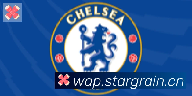 爱游戏ayx体育合作伙伴